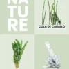 g7 siliplant biodynamized